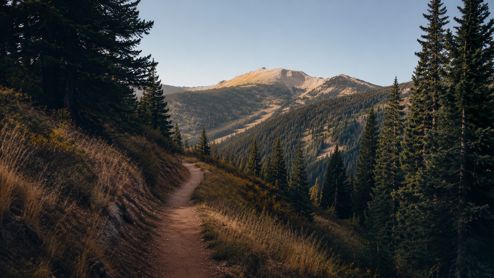 A quiet mountain trail winding through evergreen trees beneath an open sky.