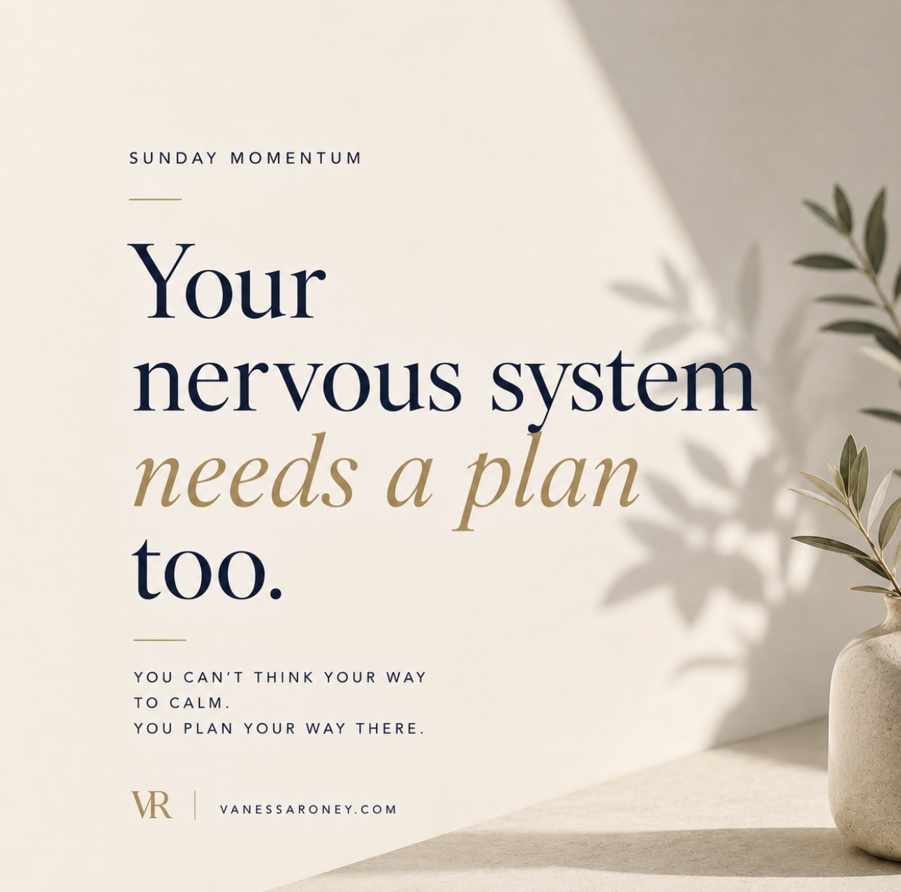 Minimalist Sunday Momentum graphic featuring the quote “Your nervous system needs a plan too” in elegant navy and gold typography on a warm cream background with soft natural shadows, calming neutral tones, and a peaceful Sunday reset aesthetic.